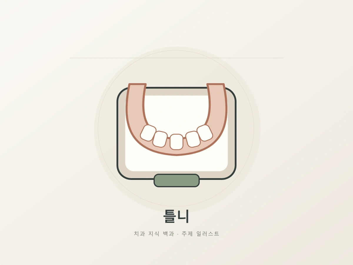 틀니의 보관과 관리를 나타내는 U자형 모형과 보관함의 상징 일러스트